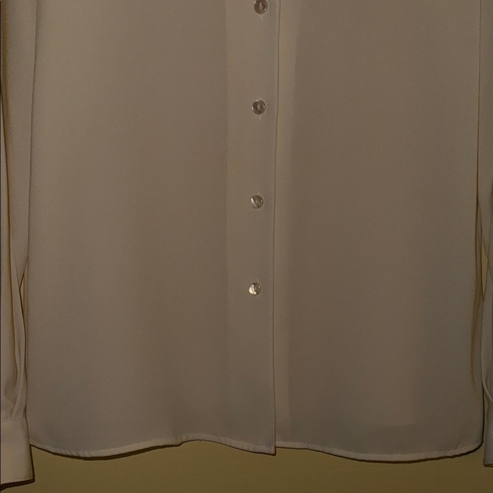 Talbots Ivory Button Down - Picture 5 of 10
